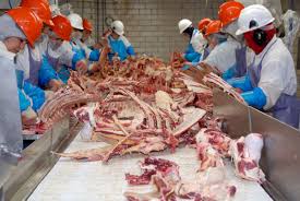 Standards for Meat Processing Facilities