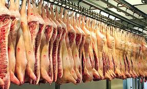 Humane Slaughter and Meat Quality Management
