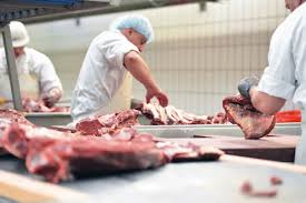 Humane Slaughter and Meat Quality Management