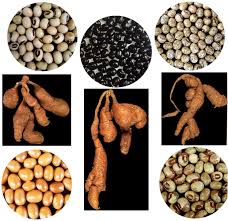 Nutritional Composition of Indigenous African Spices and Condiments