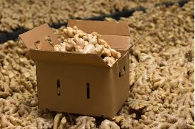 Collection, Production, Packaging, and Storage of Common Spices