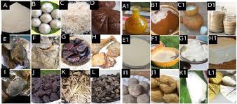 Processing of Fermented Indigenous Condiments