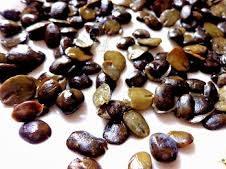 Processing of Fermented Indigenous Condiments