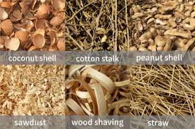 Importance of Raw Material Selection in Food Processing