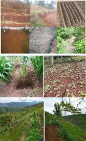 Soil Classification in Nigerian Agriculture