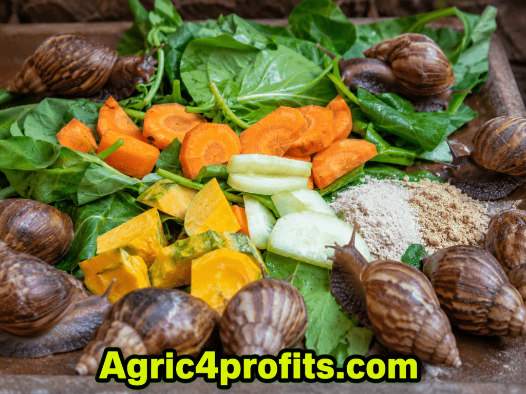 Différents Types de Nourriture de l'Escargot / Escargot Alimentation