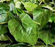 Uses and Nutritional Value of Okazi Leaves