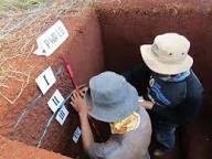 Soil Survey and Profile Description in Agriculture