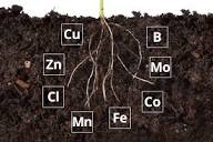 Availability of Boron and Iron in Agricultural Soils