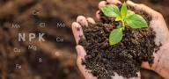 Availability of Boron and Iron in Agricultural Soils Availability of Boron and Iron in Agricultural Soils