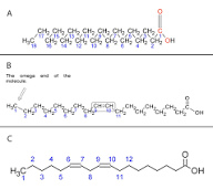 Essential Fatty Acids as Agricultural Food Additives