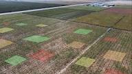 Understanding Soil Mapping in Agriculture