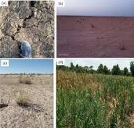Soil Classification in Nigerian Agriculture