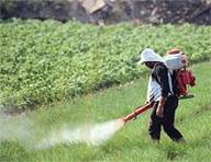 Chemical Contaminants in Agriculture
