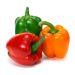Health Benefits and Uses of Fresh Pepper (Ata Rodo) - Agric4Profits