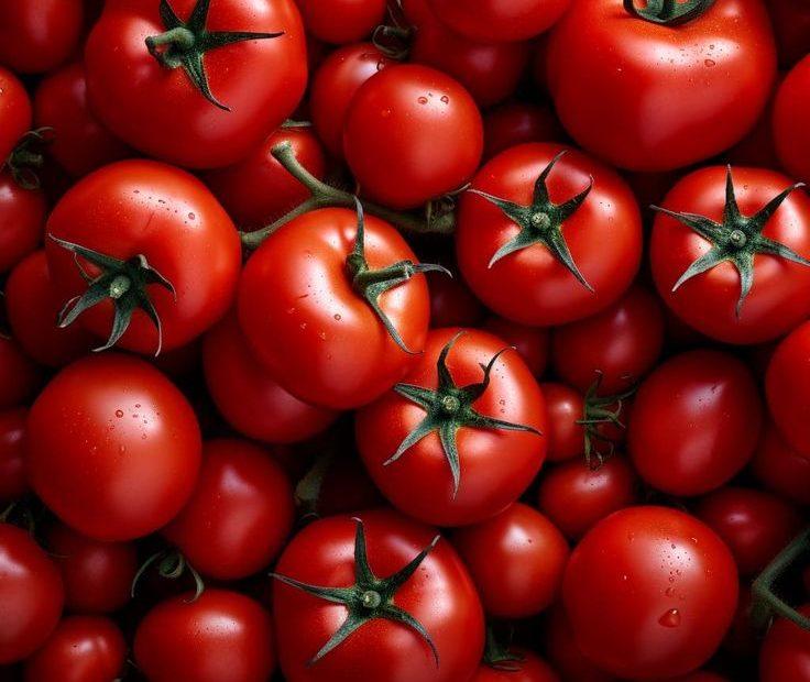 Health Benefits and Uses of Fresh Tomatoes