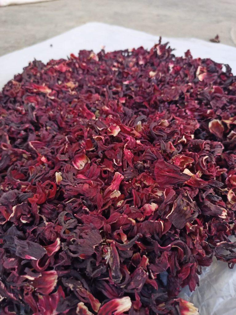 Avantages pour la santé et les Usages de Zobo Feuilles