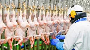Processing of Poultry Meat