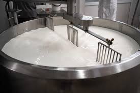 Dairy Product Processing: Cheese, Yoghurt, and Cream