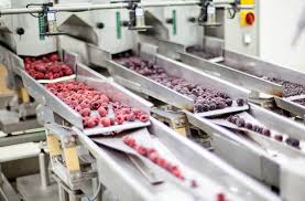 Food By-Product Utilization in Food Processing