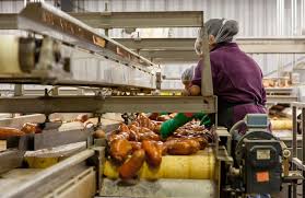 Exploring Food By-Product Utilization in Food Processing
