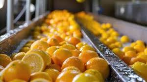 Utilization of By-Products from Fruit and Vegetable Processing