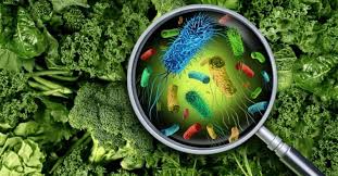 Viruses and Parasites as Food Contaminants