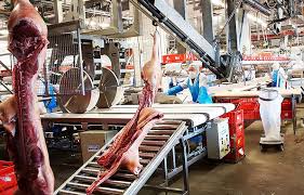 Factors Influencing Food and Equipment Choice