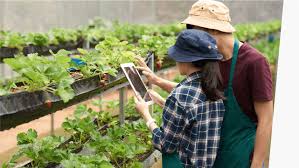 Safety Precautions in Food Handling