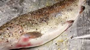 Cooking Methods for Agricultural Food Processing