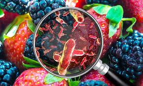 Introduction to Microbial Flora in Food