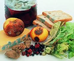 Natural Flora in Food Safety and Agriculture