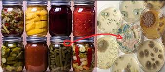 Natural Flora in Food Safety and Agriculture