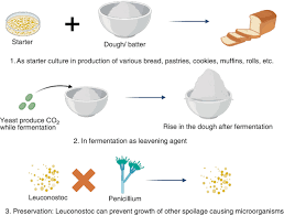 Microorganisms in Agricultural Food Processing