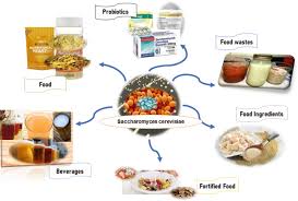 Microorganisms in Agricultural Food Processing