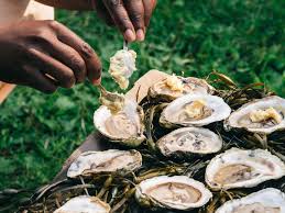 Causes and Impacts of Foodborne Infections and Toxicants