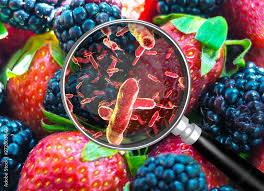 Causes and Impacts of Foodborne Infections and Toxicants