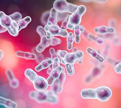 Understanding Food Poisoning Microorganisms and Their Impacts