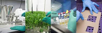 Laboratory Methods for Assessing the Microbiological Status of Fruits and Vegetables