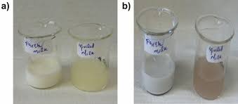 Assessing the Microbiological Safety of Meat, Fish, and Dairy Products