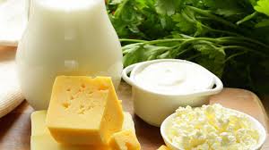 Exploring the Microbiology of Fermented Milk Products and Probiotics