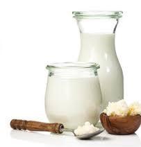 Exploring the Microbiology of Fermented Milk Products and Probiotics