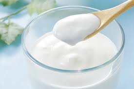 Exploring the Microbiology of Fermented Milk Products and Probiotics