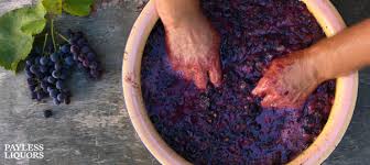 Vinification: The Art and Science of Winemaking