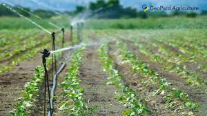 Types / Methods and Challenges of Irrigation Farming