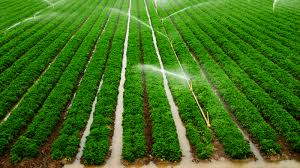 Types / Methods and Challenges of Irrigation Farming