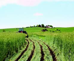 Systems of Soil Conservation and Improvement