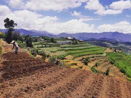 Systems of Soil Conservation and Improvement