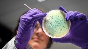 Microbiology in Agriculture: An Overview