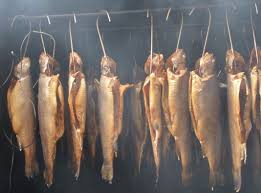 Methods and Importance of Food Preservation